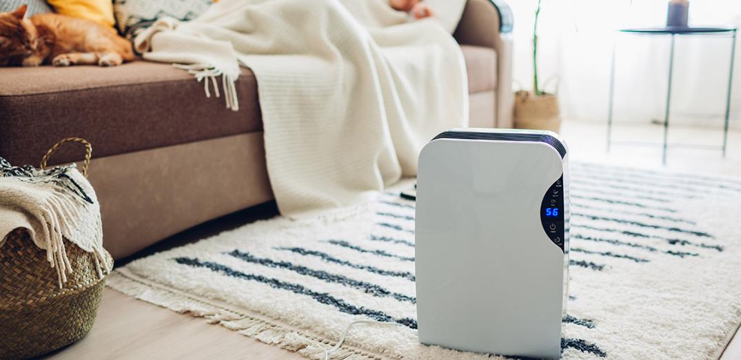 dehumidifierguide-ft