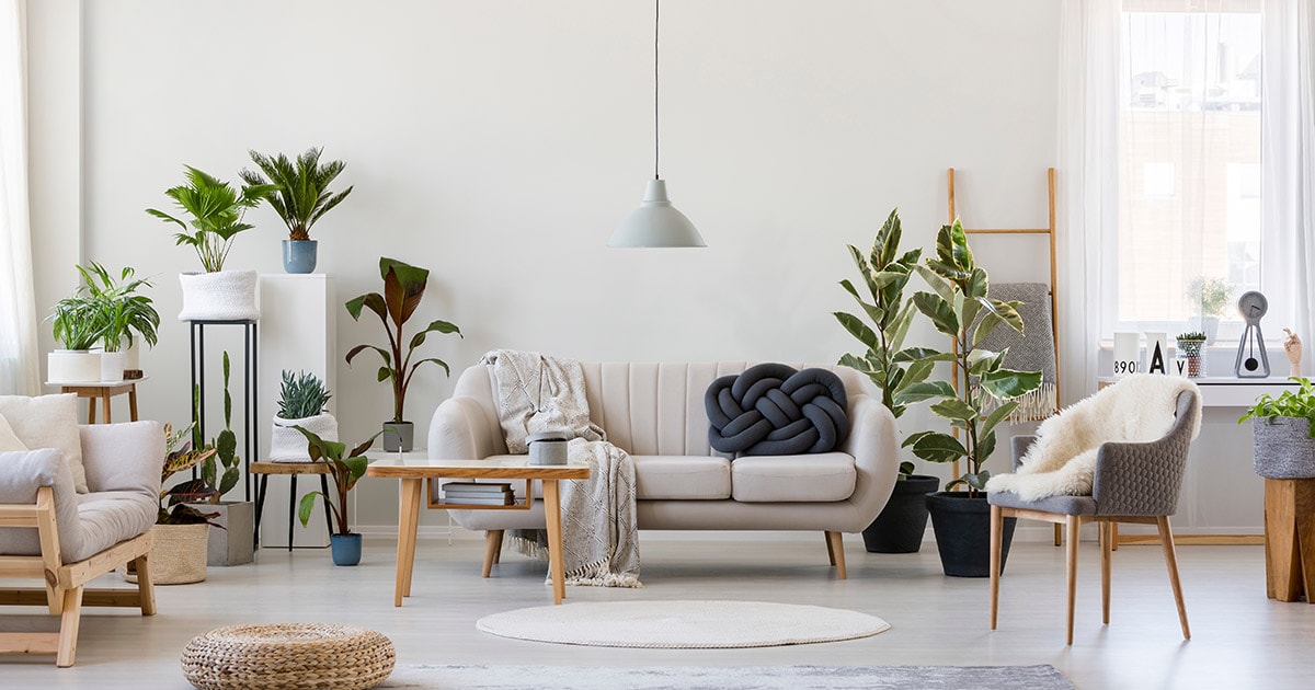 black-friday-guide-home-01