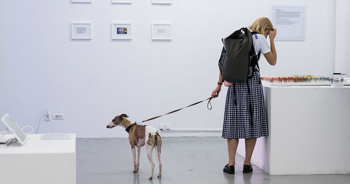 Δωρεάν events: Εβδομάδα με ντοκιμαντέρ, φεστιβάλ και εκθέσεις